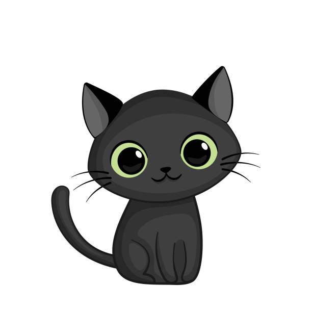 a picture of a black cat